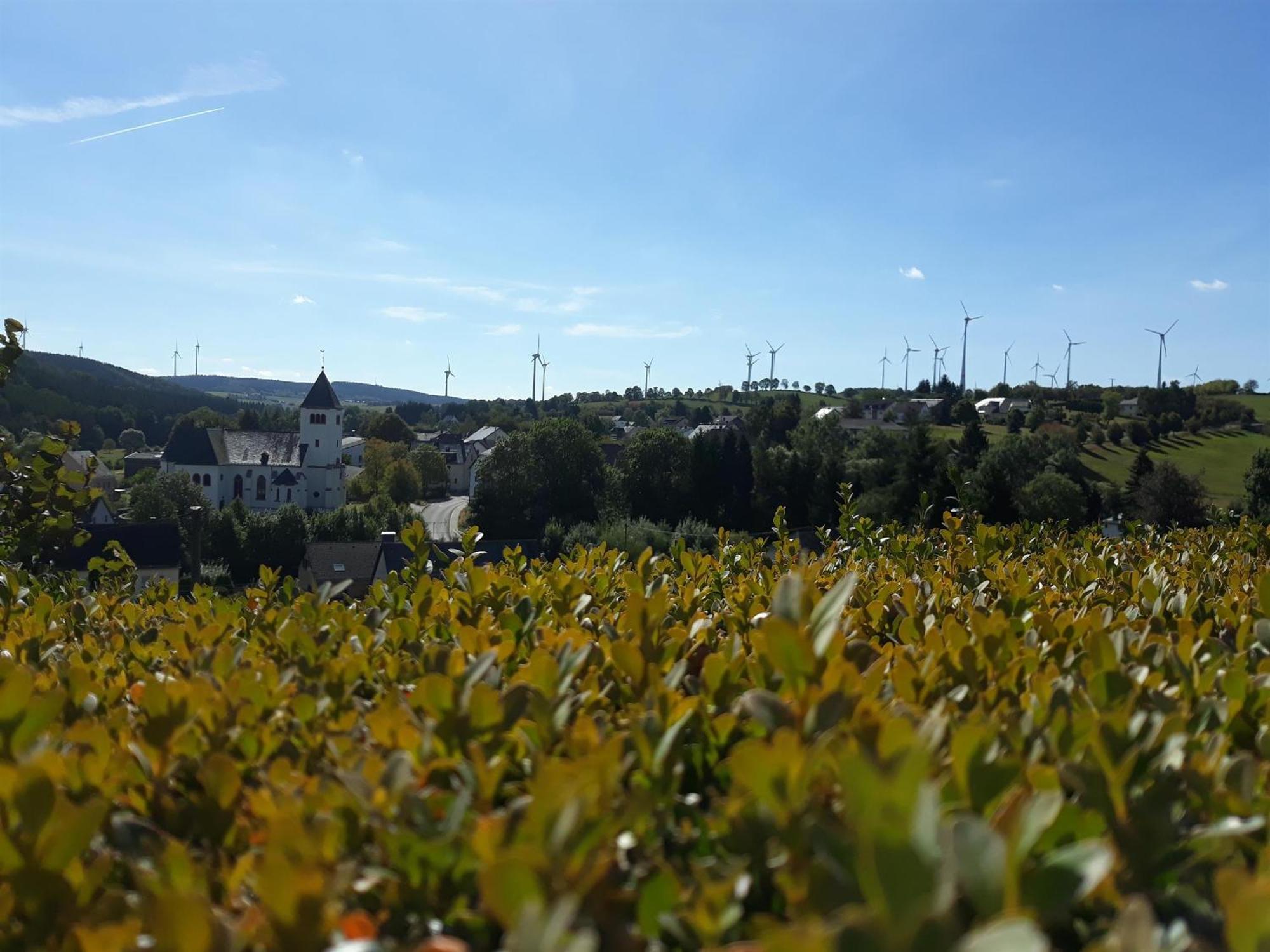 Ferienwohnung An Der Kleinen Schreinerei Hallschlag Номер фото